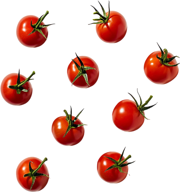 tomatoes
