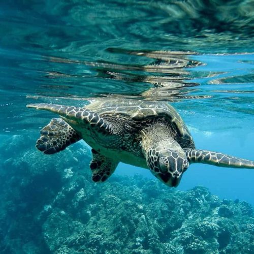 10 Best Water Parks In The Entire World