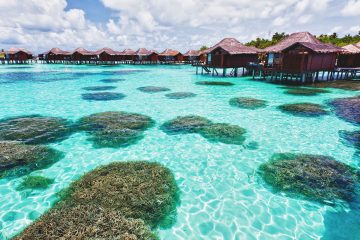 When is the best time to visit the Maldives?